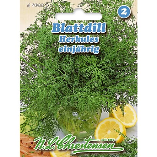 Krapai Herkules interface.image 1 interface.art 86000