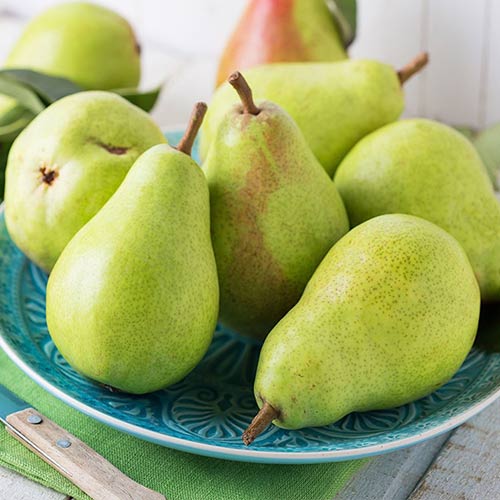 Kriaušė Passe Crassane interface.image 1 interface.art 4307