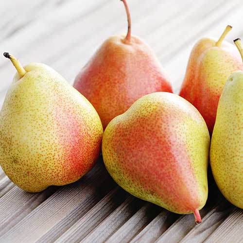 Kriaušė Santa Maria, С2 interface.image 1 interface.art 4305