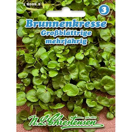 Krienai, sėklos Chrestensen interface.image 1 interface.art 50041