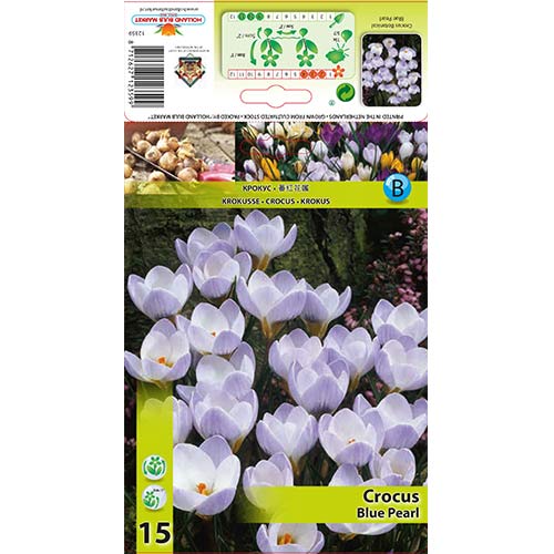 Krokai Blue Pearl interface.image 1 interface.art 67327