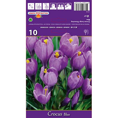 Krokai Blue interface.image 1 interface.art 67615