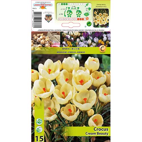 Krokai Cream Beauty interface.image 1 interface.art 67328