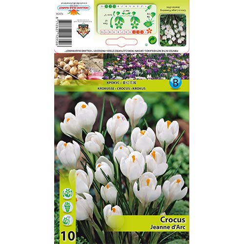 Krokai Jeanne d'Arc interface.image 1 interface.art 67332