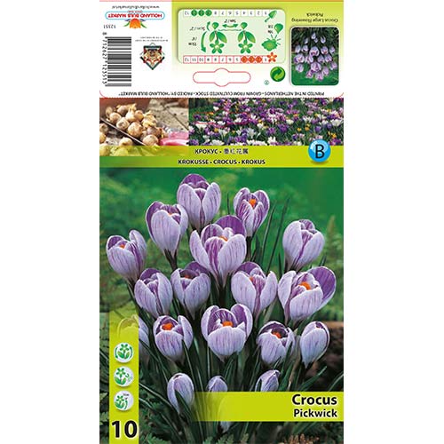 Krokai Pickwick interface.image 1 interface.art 67335