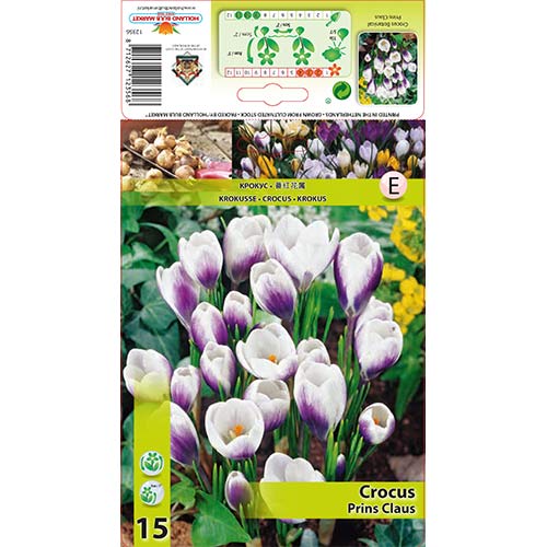 Krokai Prins Claus interface.image 1 interface.art 67618