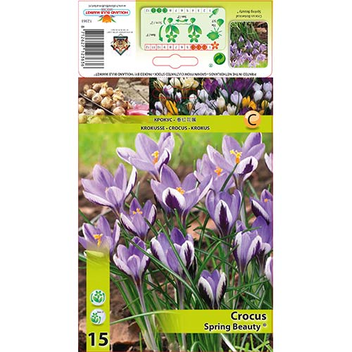 Krokai Spring Beauty interface.art nuotrauka 1 Krokai Spring Beauty interface.image 1 interface.art 67342