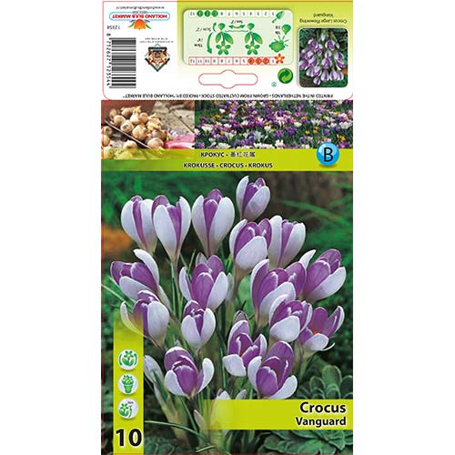 Krokai Vanguard interface.image 1 interface.art 67343