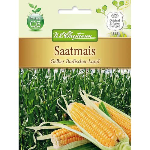 Paprastieji kukurūzai interface.image 1 interface.art 78883