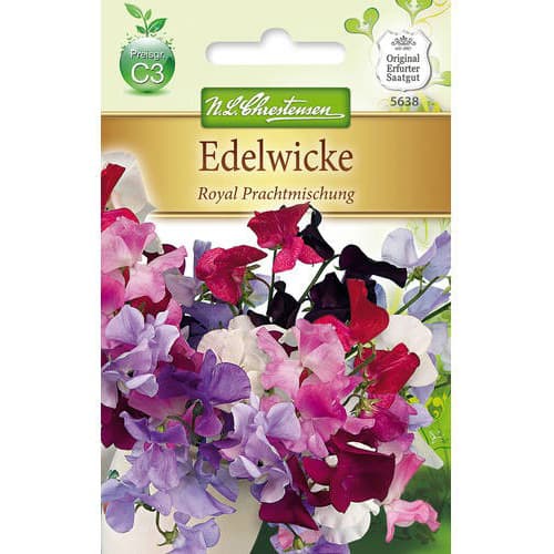 Kvapieji pelėžirniai Royal Prachtmischung´ interface.image 1 interface.art 87813