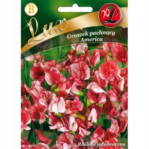 Kvapnūs žirneliai Amerika interface.image 1 interface.art 86746