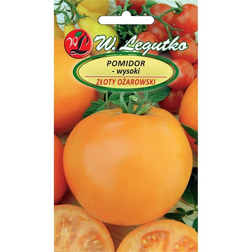 Lauko aukštas pomidoras Zloty Ożarowski interface.image 1 interface.art 86889