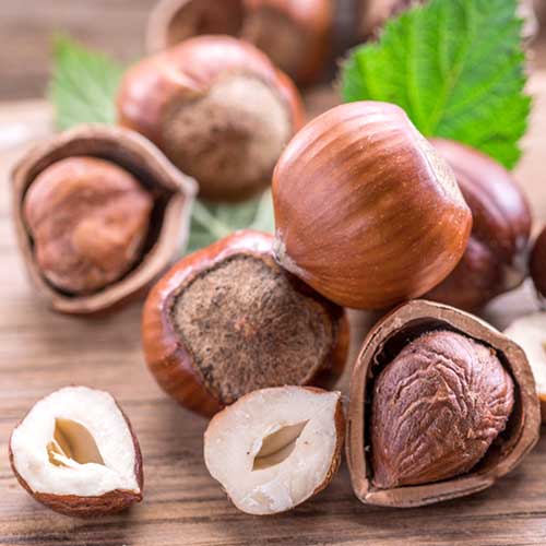 Lazdyno riešutas Ennis interface.art nuotrauka 1 Lazdyno riešutas Ennis interface.image 1 interface.art 6934