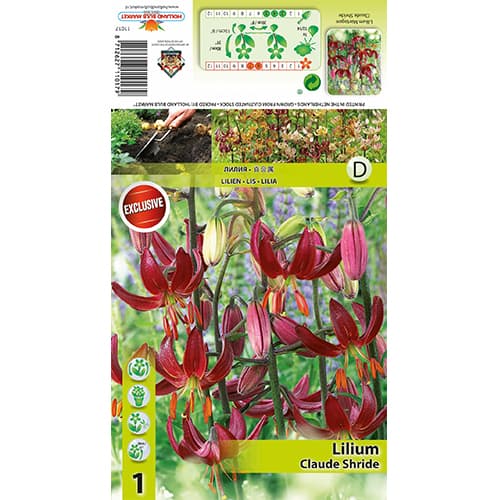 Lelija Claude Shride interface.image 1 interface.art 77822