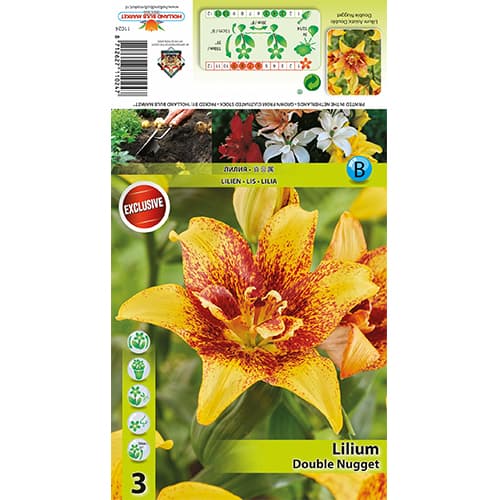 Lelija Double Nugget interface.image 1 interface.art 77820