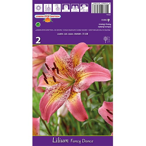 Lelija Fancy Dance interface.image 1 interface.art 77836