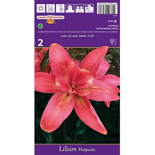 Lelija Hotpants interface.image 1 interface.art 77837