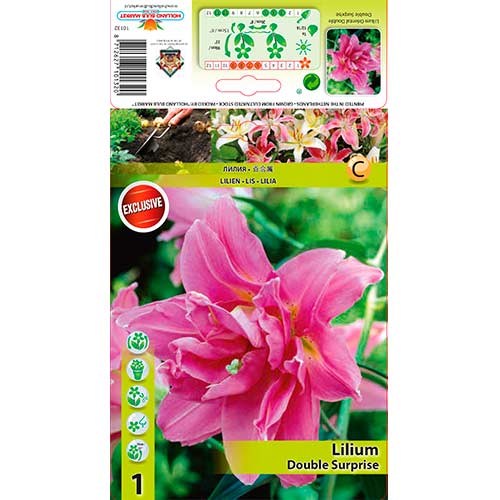 Lelija (Lilium) Double Surprise interface.image 1 interface.art 76307