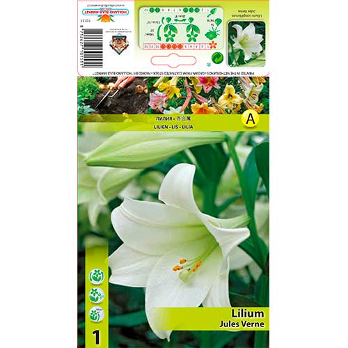 Lelija (Lilium) Jules Verne interface.image 1 interface.art 70432