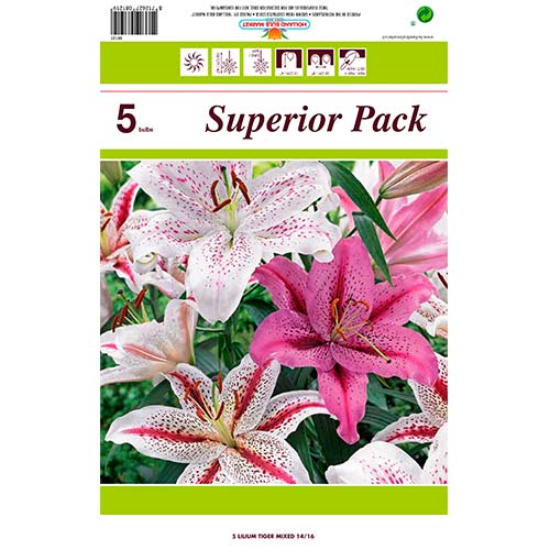 Lelija (Lilium) Tiger Mixed interface.art nuotrauka 1 Lelija (Lilium) Tiger Mixed interface.image 1 interface.art 76480