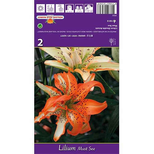 Lelija Must See interface.image 1 interface.art 77838