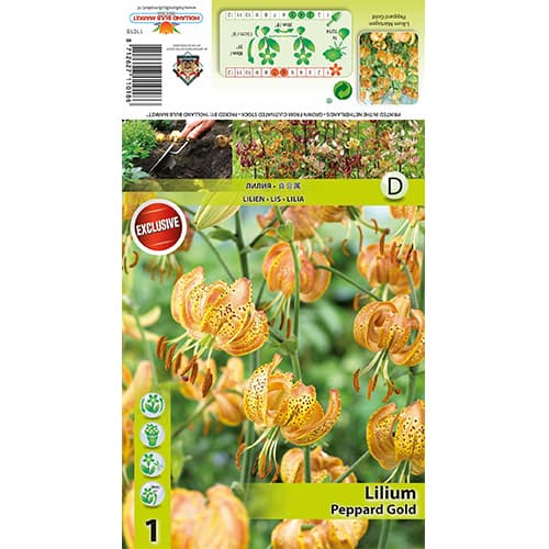 Lelija Peppart Gold interface.image 1 interface.art 77823