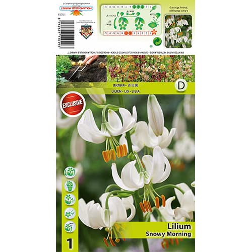 Lelija Snowy Morning interface.image 1 interface.art 77824