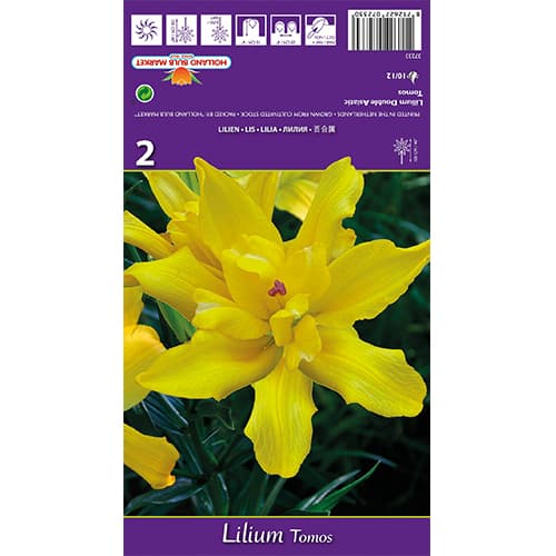 Lelija Tomos interface.image 1 interface.art 77839