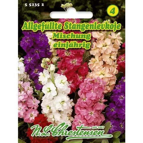 Matiolos, mišinys interface.image 1 interface.art 96437