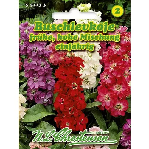 Matiolos aukštaūgės, mišinys interface.art nuotrauka 1 Matiolos aukštaūgės, mišinys interface.image 1 interface.art 96438