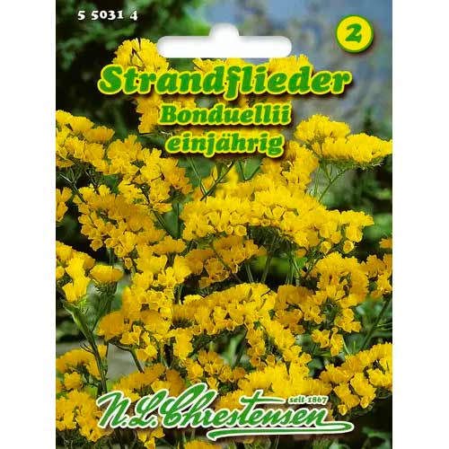 Levandos Bonduellii Chrestensen interface.art nuotrauka 1 Levandos Bonduellii Chrestensen interface.image 1 interface.art 50031