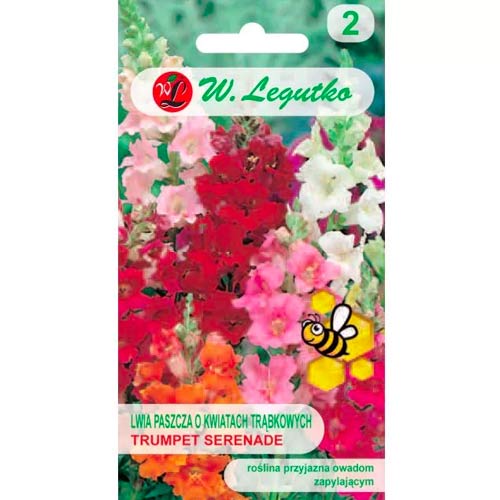 Liūto girios trumpas Trumpet Serenade Legutko interface.image 1 interface.art 78574