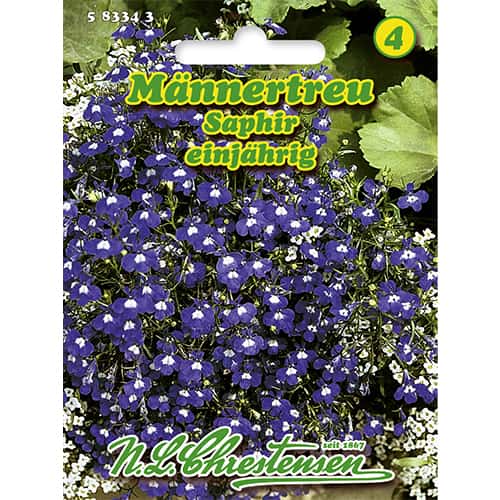 Lobelijos kabanti mėlyna Saphir interface.image 1 interface.art 86165