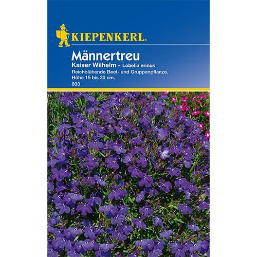 Lobelijos Kaiser Wilhelm interface.image 1 interface.art 77421