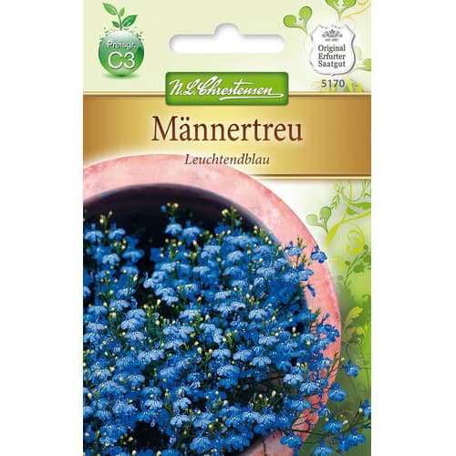 Lobelijos Leuchtendblau interface.art nuotrauka 1 Lobelijos Leuchtendblau interface.image 1 interface.art 78918