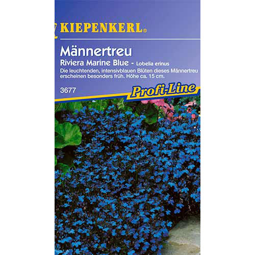 Lobelija Riviera Marine Blue Kiepenkerl interface.image 1 interface.art 86295