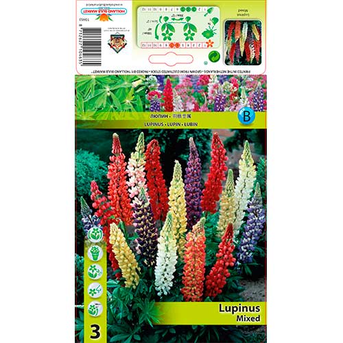 Lubinas (Lupine) Mixed interface.image 1 interface.art 76325