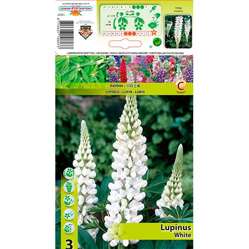 Lubinas (Lupine) White interface.image 1 interface.art 76328