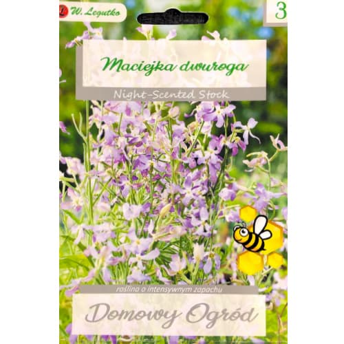 Malcolmia dviragis rožinis Legutko interface.art nuotrauka 1 Malcolmia dviragis rožinis Legutko interface.image 1 interface.art 78578