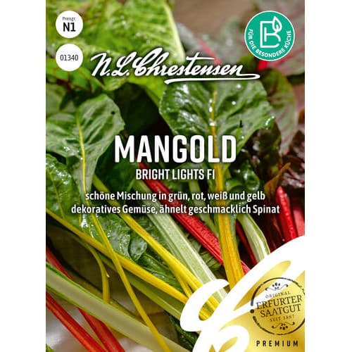 Mangoldai Bright Lights F3 interface.art nuotrauka 1 Mangoldai Bright Lights F3 interface.image 1 interface.art 87845
