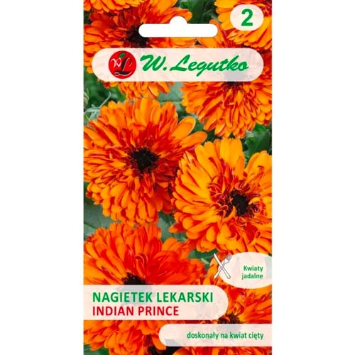 Medetkos Indian Prince Legutko interface.image 1 interface.art 78581