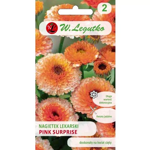 Medetkos Pink Surprise Legutko interface.art nuotrauka 1 Medetkos Pink Surprise Legutko interface.image 1 interface.art 78582