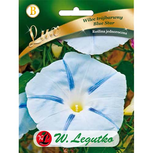 Mėlynosios žvaigždės trispalvė orchidėja interface.image 1 interface.art 86759