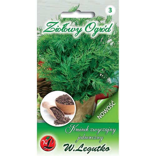 Metinis kmynų Sprinter interface.image 1 interface.art 78705