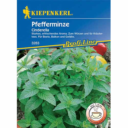 Mėtos pipirų Cinderella Kiepenkerl interface.image 1 interface.art 96646