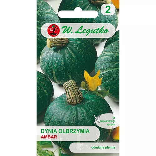 Milžiniškas moliūgas Ambar interface.art nuotrauka 1 Milžiniškas moliūgas Ambar interface.image 1 interface.art 78453