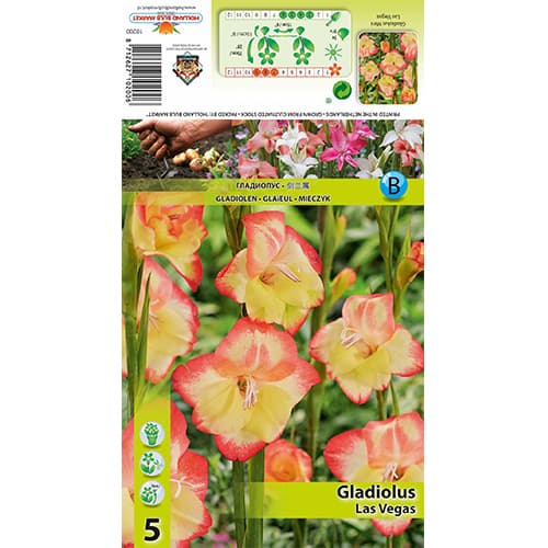 Mini kardelis Las Vegas interface.image 1 interface.art 77825