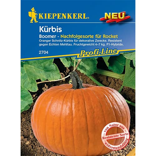 Moliūgai Boomer, F3 interface.art nuotrauka 1 Moliūgai Boomer, F3 interface.image 1 interface.art 87786