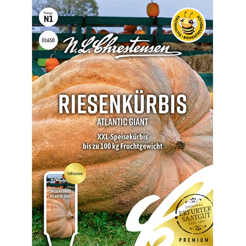 Moliūgai Riesenkürbis Atlantic Giant interface.art nuotrauka 1 Moliūgai Riesenkürbis Atlantic Giant interface.image 1 interface.art 87848