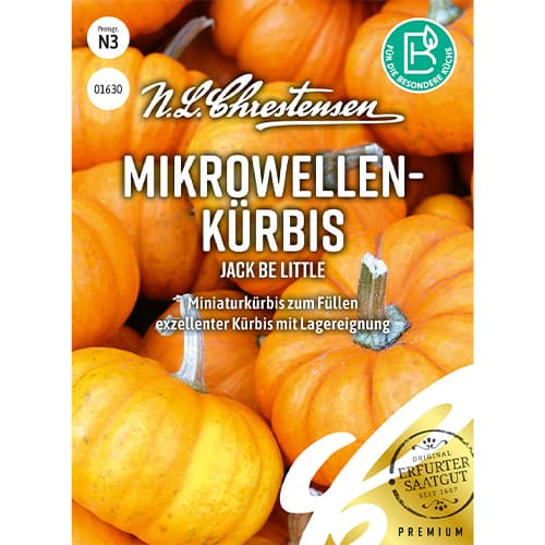 Moliūgai miniatiūriniai Jack Be Little interface.image 1 interface.art 86060